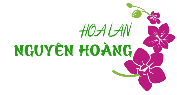 Hoa Lan Nguyên Hoàng